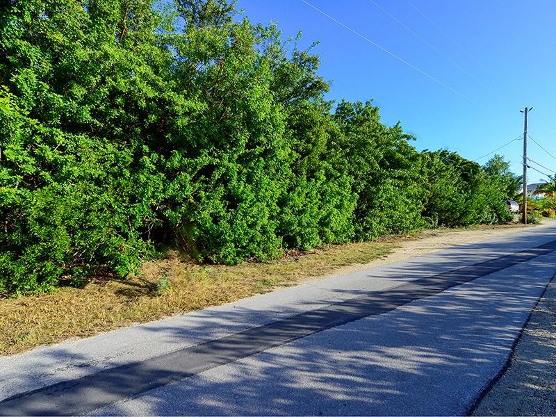 Lot 19 Indies Road Summerland Key, FL 33042 - Photo 6 of 6 Lots 19 & 20
