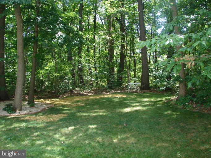 2830 Nicodemus Road Westminster, MD 21157 - Photo 5 of 24 Wooded View / Acreage