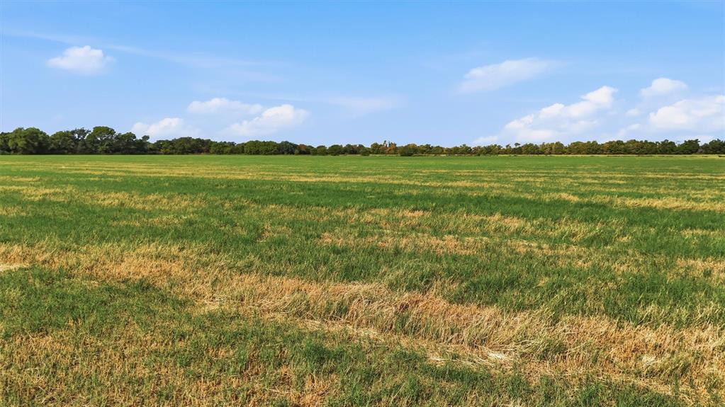Tbd Stiles Road Whitesboro, TX 76273 - Photo 9 of 27 Gallery Image 9