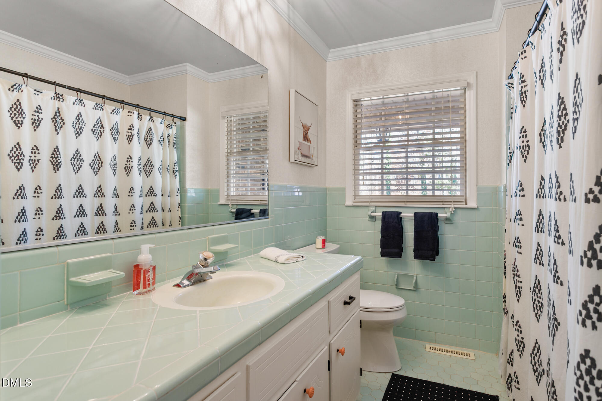 1263 Geneva Albright Road Graham, NC 27253 - Photo 27 of 61 a bathroom with a sink toilet and shower