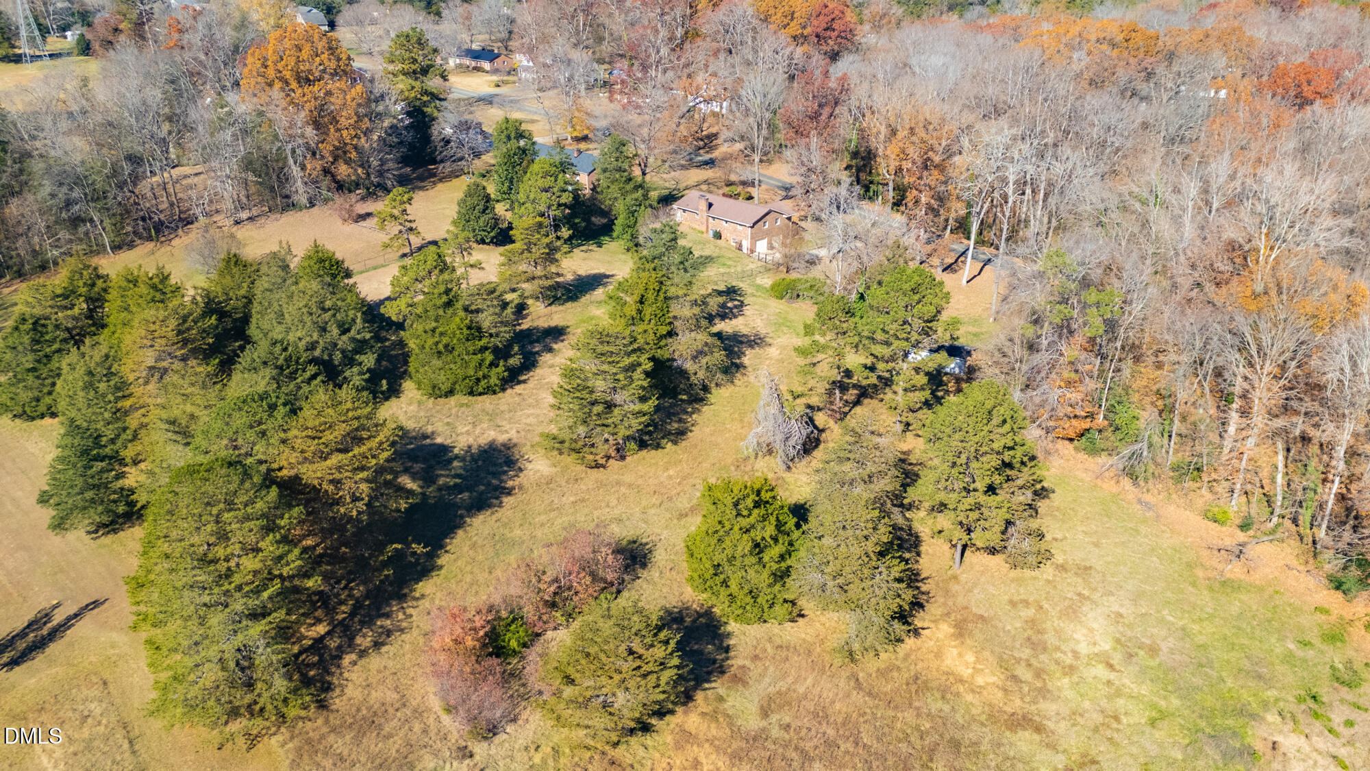 1263 Geneva Albright Road Graham, NC 27253 - Photo 57 of 61 a view of a yard with a tree