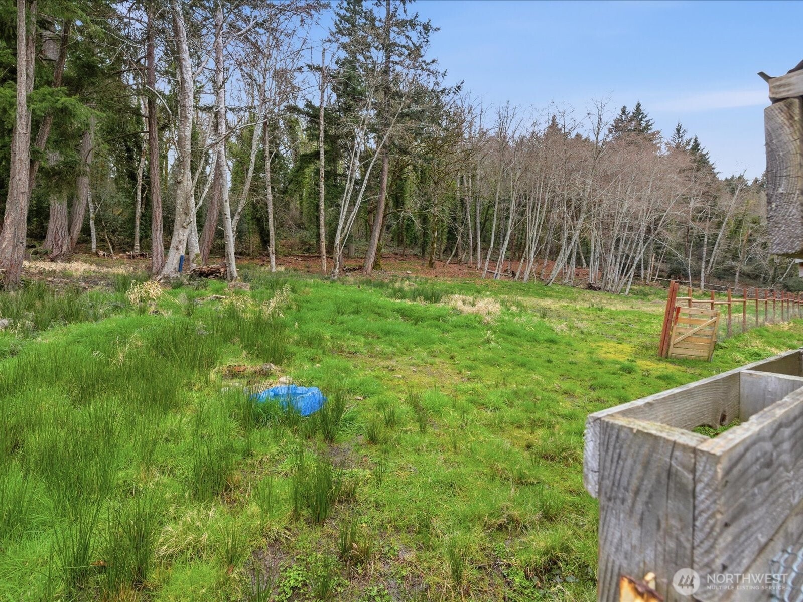 16602-16608 Delano Road Southwest Lakebay, WA 98349 - Photo 28 of 40 a backyard of a house with large trees and wooden fence