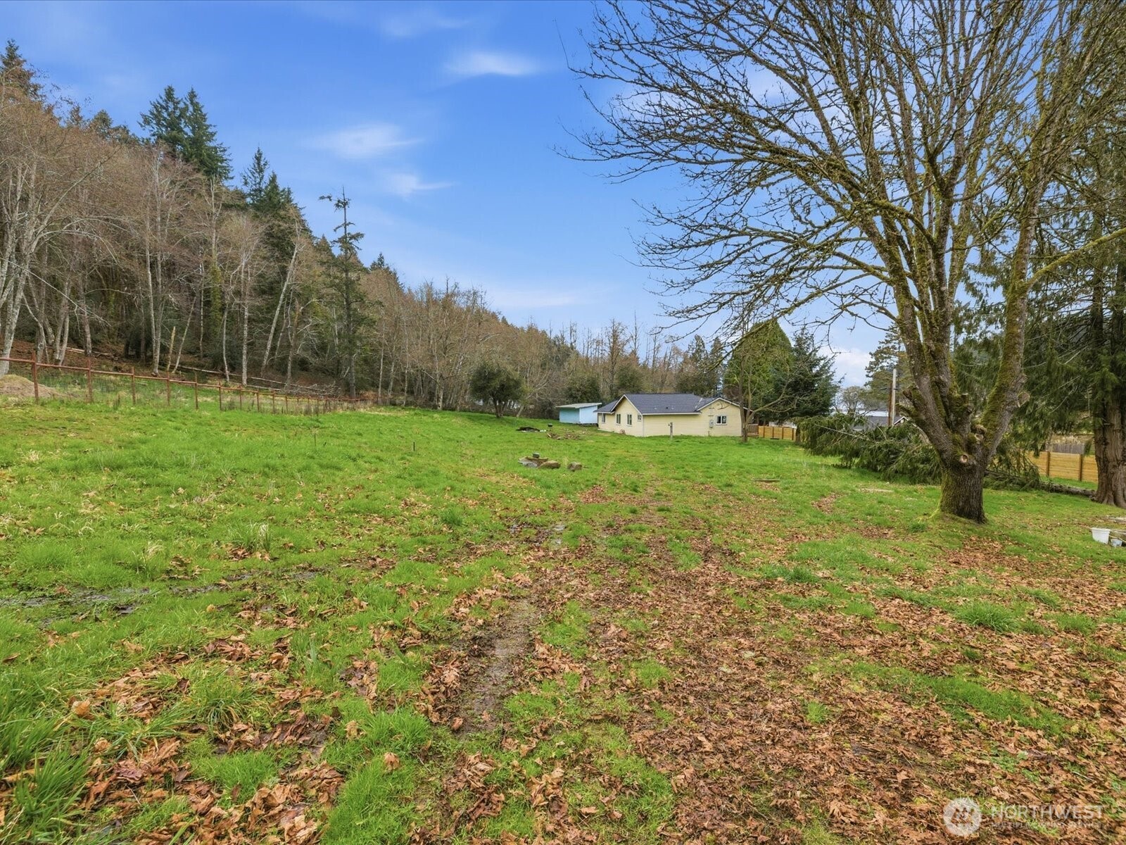 16602-16608 Delano Road Southwest Lakebay, WA 98349 - Photo 33 of 40 a view of a field with trees in the background