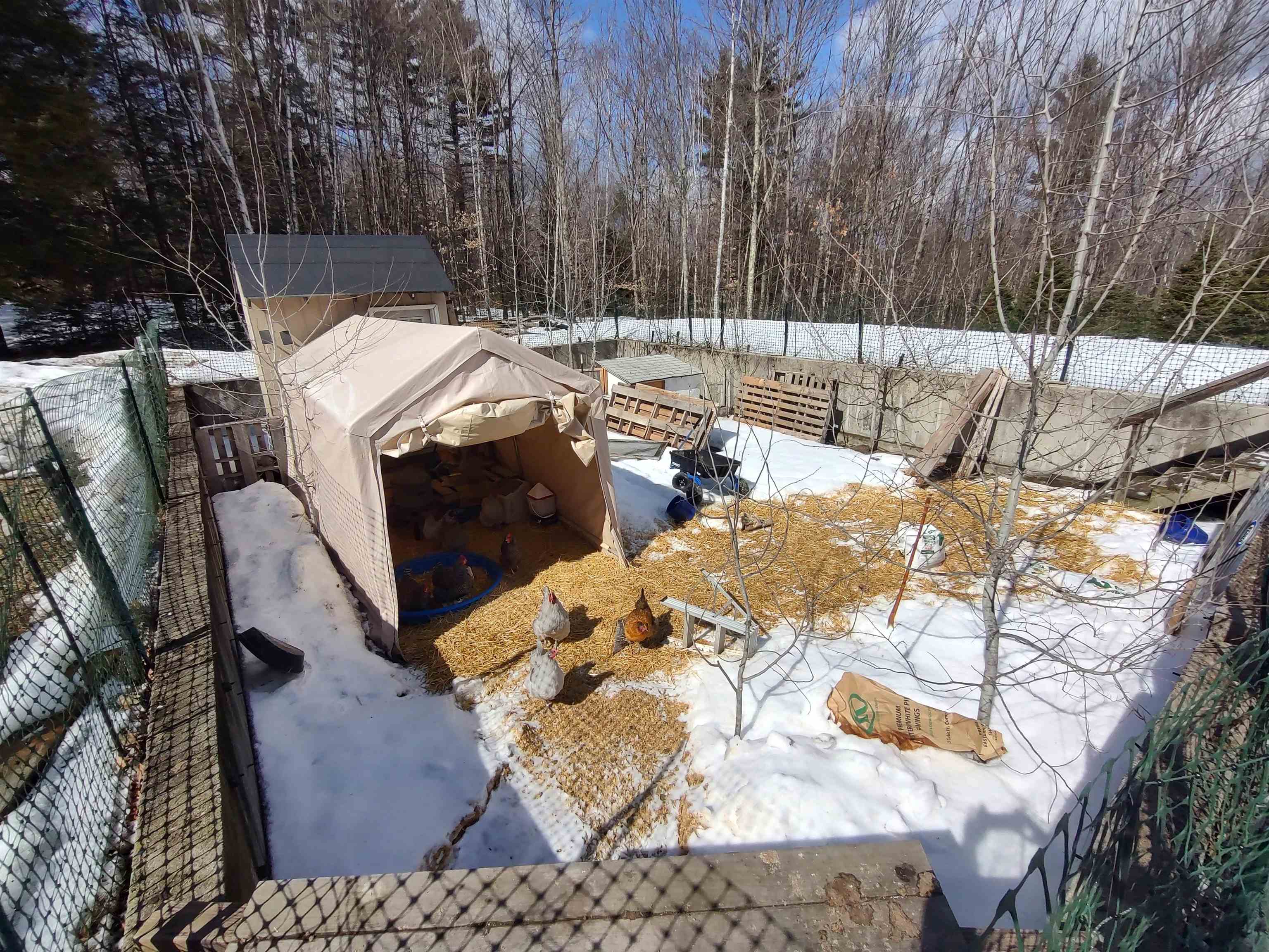 1278 Weare Road Henniker, NH 03242 - Photo 3 of 60