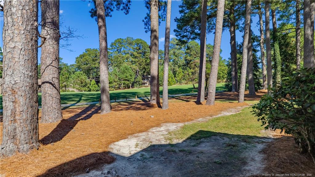 115 Beulah Hill Road South, Unit 111 Pinehurst, NC 28374 - Photo 23 of 32 a view of a backyard with plants and large trees