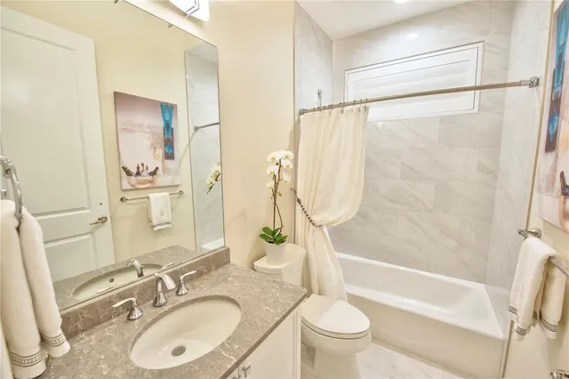 a view of a bunch of plants and trees