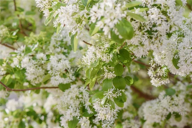 $1,550,000 | 3841 Southwest 69th Avenue, Gainesville, FL 32608