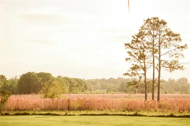 $1,550,000 | 3841 Southwest 69th Avenue, Gainesville, FL 32608