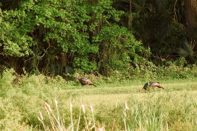 $1,550,000 | 3841 Southwest 69th Avenue, Gainesville, FL 32608