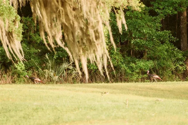 $1,550,000 | 3841 Southwest 69th Avenue, Gainesville, FL 32608