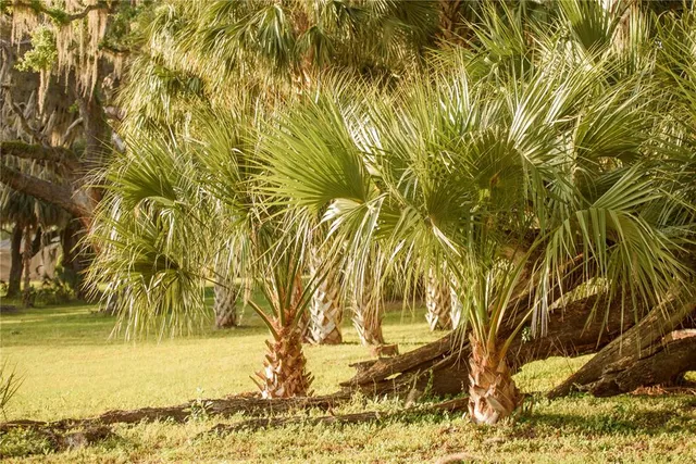 $1,550,000 | 3841 Southwest 69th Avenue, Gainesville, FL 32608