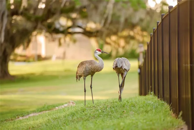 $1,550,000 | 3841 Southwest 69th Avenue, Gainesville, FL 32608