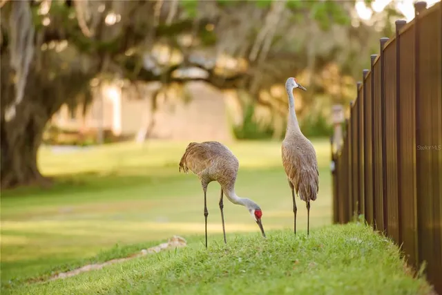 $1,550,000 | 3841 Southwest 69th Avenue, Gainesville, FL 32608