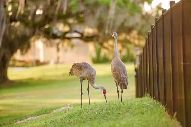 $1,550,000 | 3841 Southwest 69th Avenue, Gainesville, FL 32608