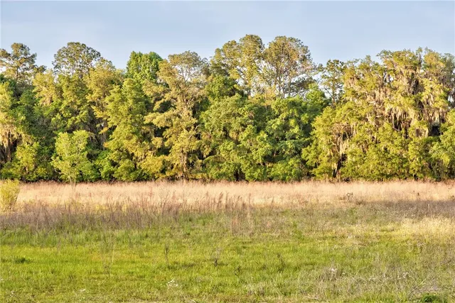 $1,550,000 | 3841 Southwest 69th Avenue, Gainesville, FL 32608