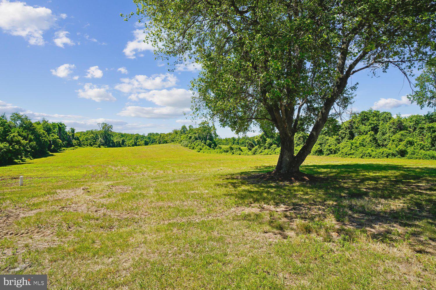 17304 Queen Anne Bridge Road Bowie, MD 20716 - Photo 64 of 73 Back Yard