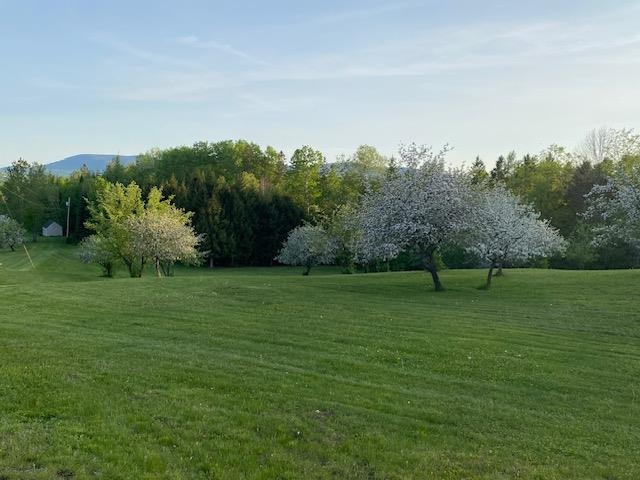 712 Reed Road Colebrook, NH 03576 - Photo 5 of 22