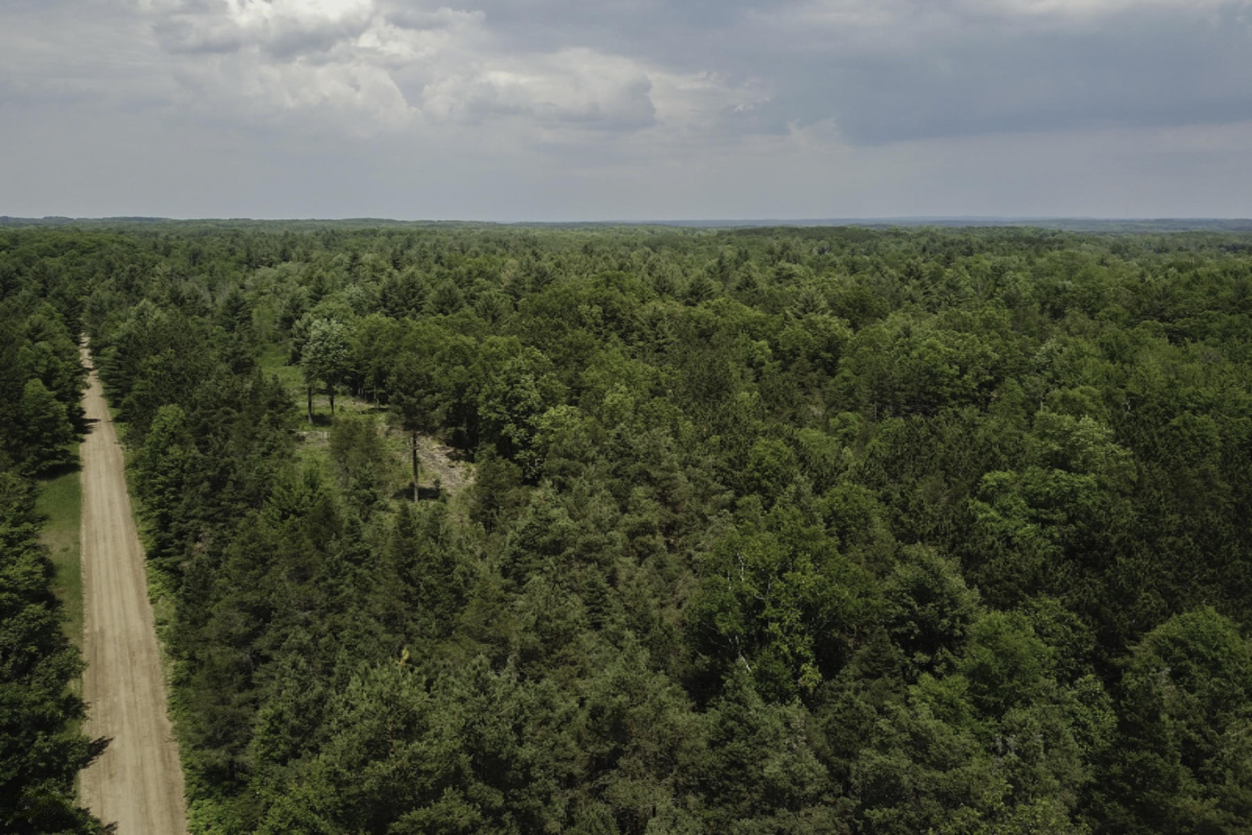 V/l Center Line Road Reed City, MI 49677 - Photo 5 of 18 Ryskamp 40-12