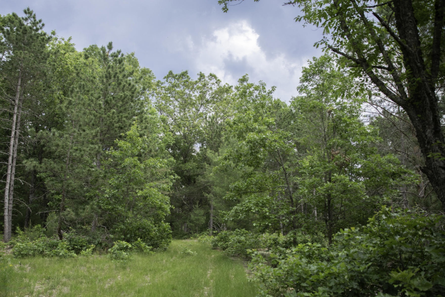 V/l Center Line Road Reed City, MI 49677 - Photo 10 of 18 Ryskamp 40