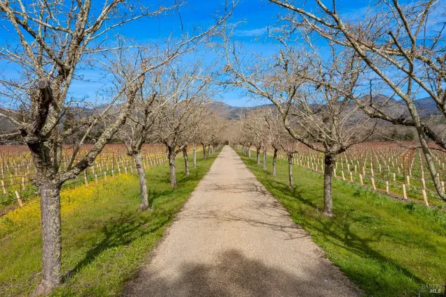 a view of a pathway with a yard