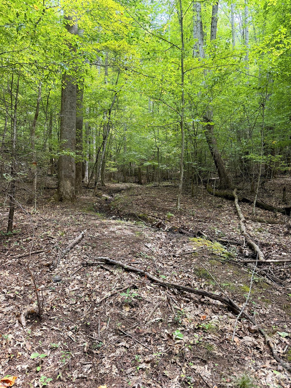 7777 Saw Branch Road Candler, NC 28715 - Photo 13 of 19 Gallery Image 13