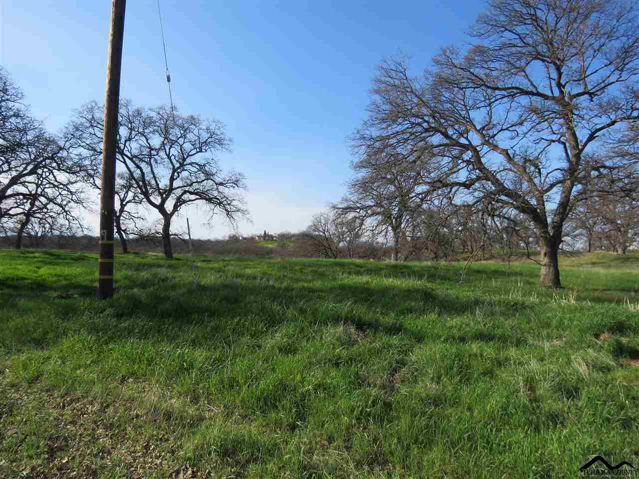 Zz Deer Valley Road Red Bluff, CA 96080 - Photo 5 of 5