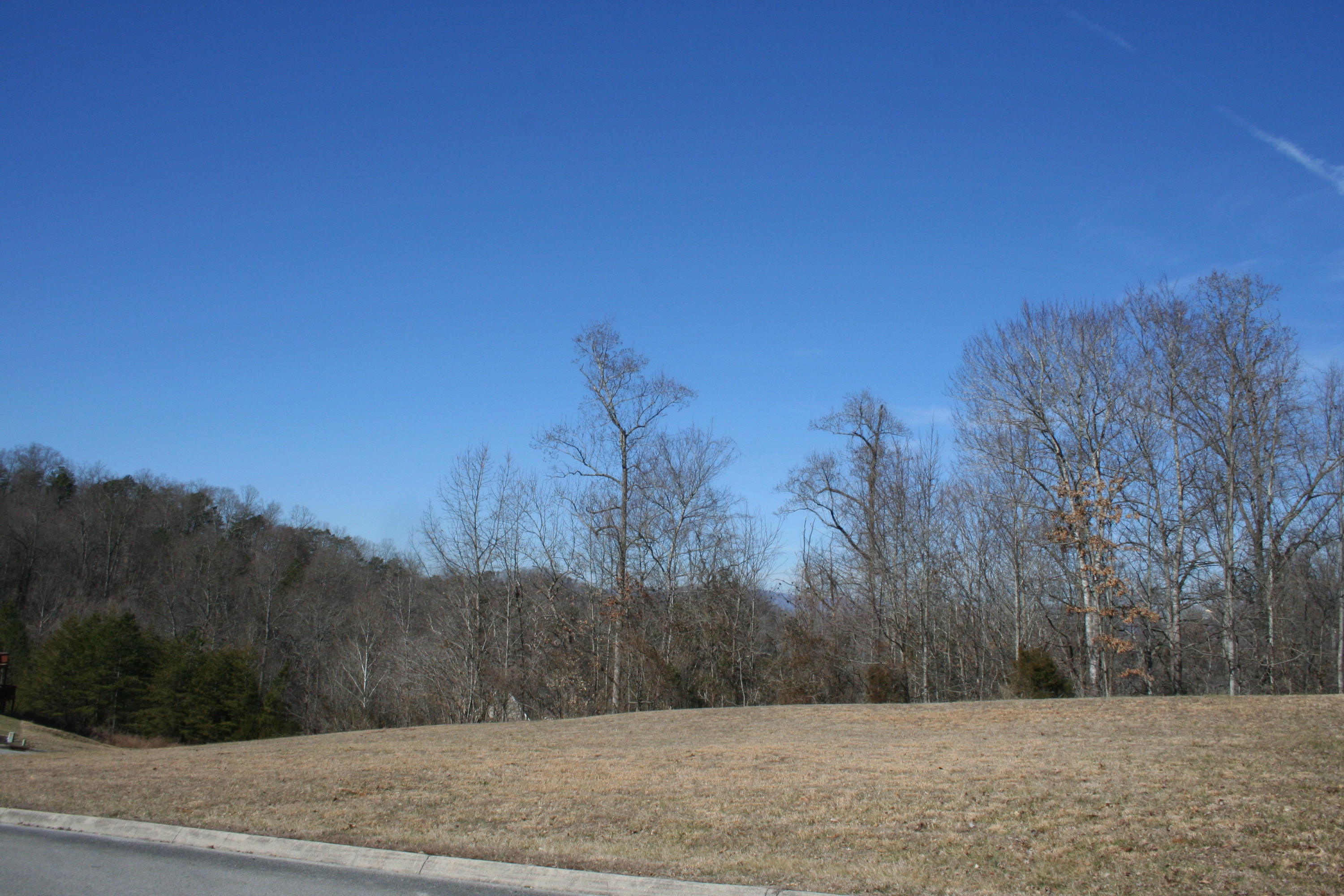 13 Raintree Crossing Oak Ridge, TN 37830 - Photo 1 of 12 IMG_3108