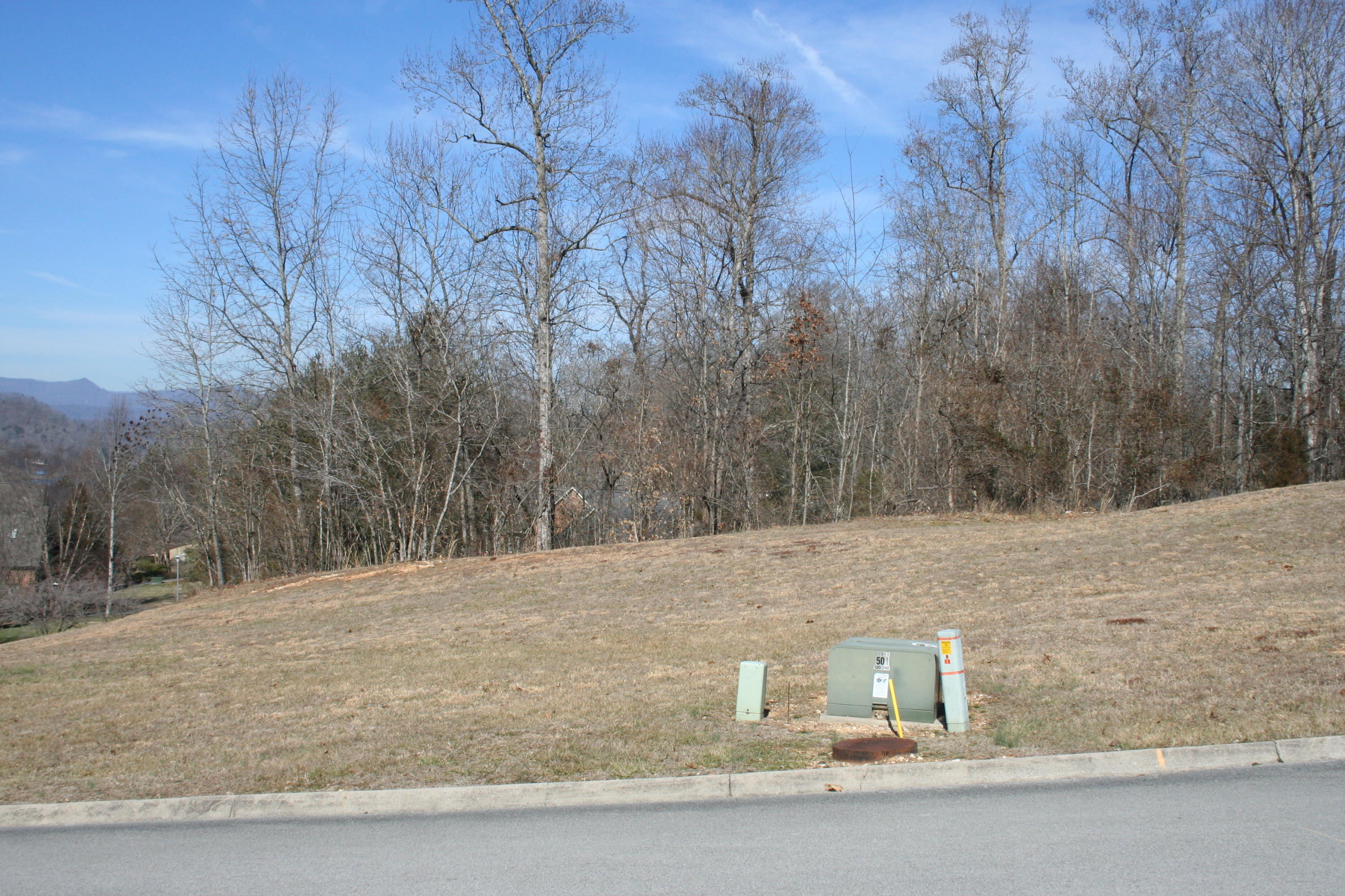 13 Raintree Crossing Oak Ridge, TN 37830 - Photo 4 of 12 IMG_3103