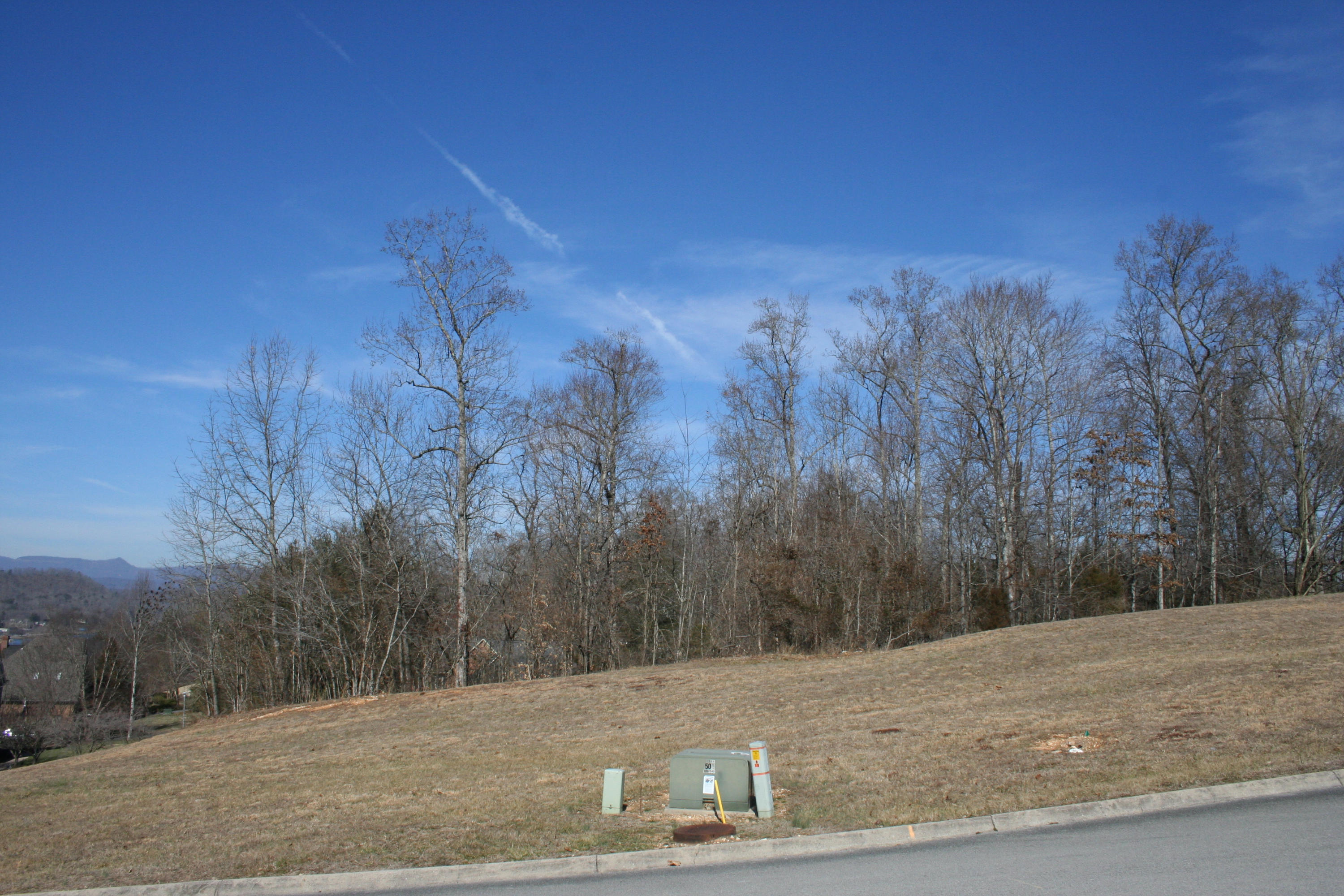 13 Raintree Crossing Oak Ridge, TN 37830 - Photo 6 of 12 IMG_3105