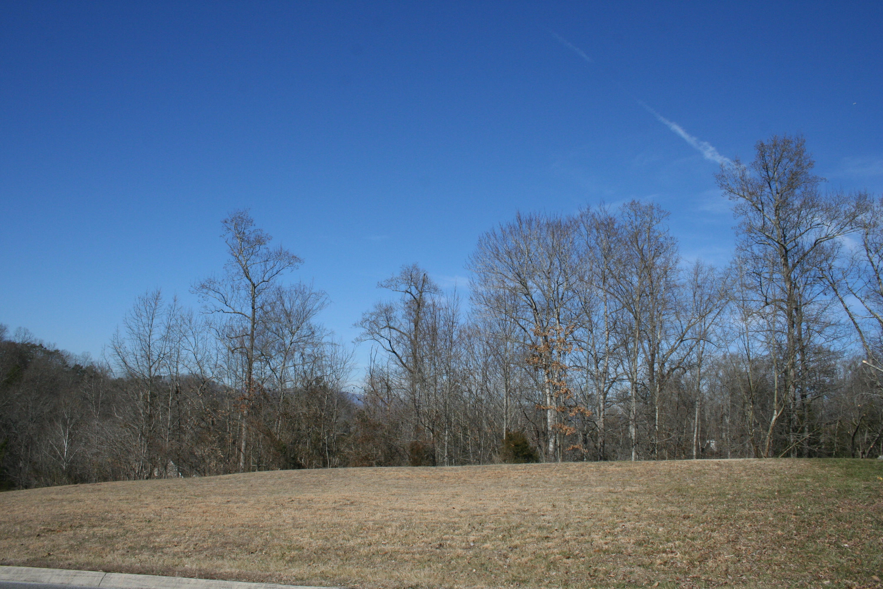 13 Raintree Crossing Oak Ridge, TN 37830 - Photo 8 of 12 IMG_3107