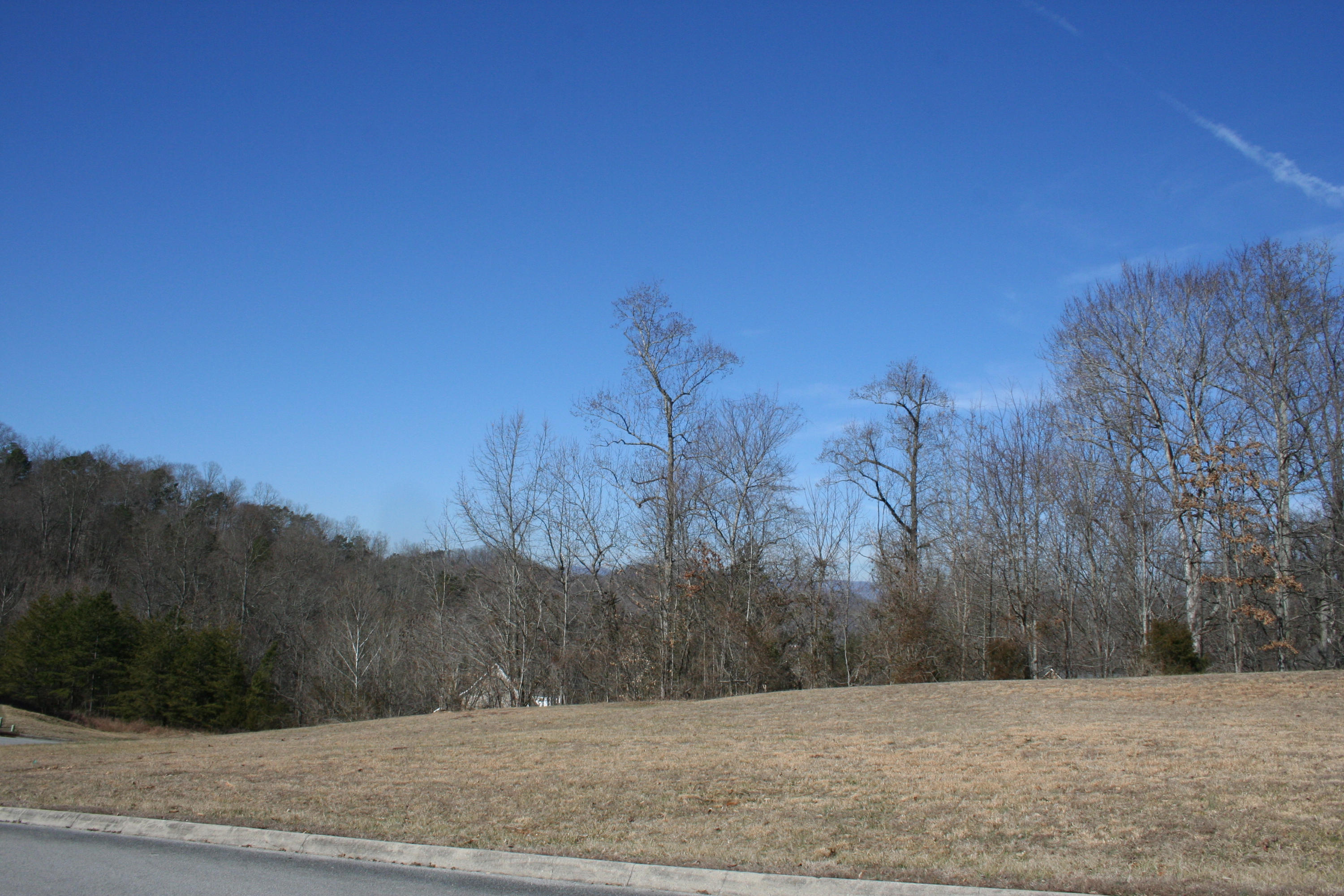 13 Raintree Crossing Oak Ridge, TN 37830 - Photo 9 of 12 IMG_3109