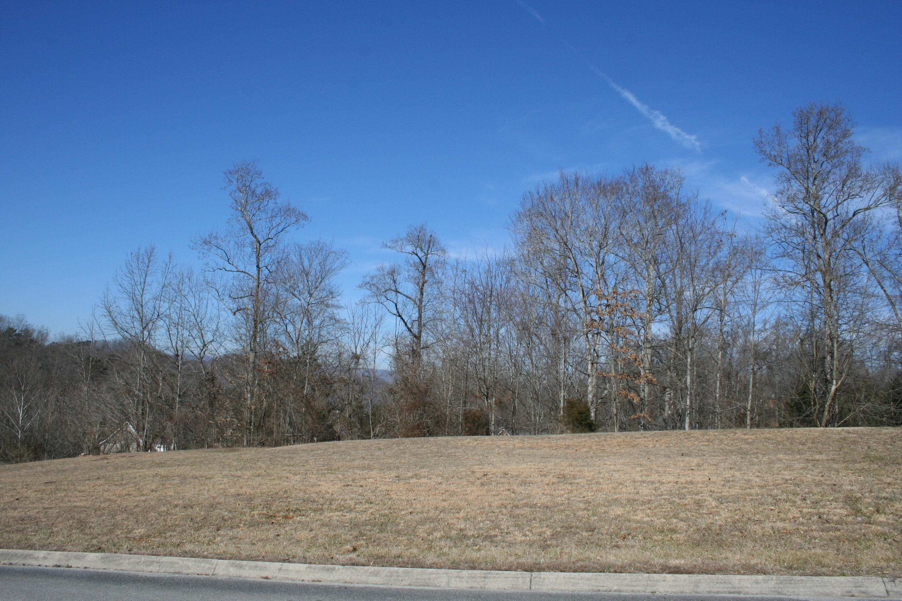 13 Raintree Crossing Oak Ridge, TN 37830 - Photo 10 of 12 IMG_3110