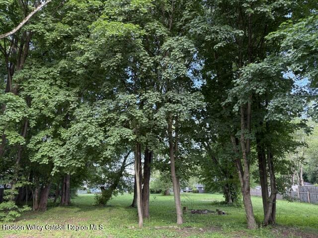 3124 Rte 9W Saugerties, NY 12477 - Photo 3 of 20 backyard