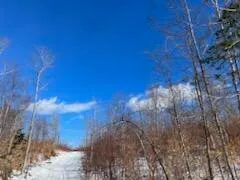 $119,000 | Lot 5 South Back Mountain, Island Falls, ME 04747
