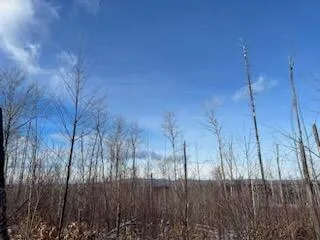 $119,000 | Lot 5 South Back Mountain, Island Falls, ME 04747