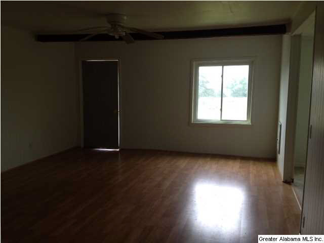 21173 Highway 11 Steele, AL 35987 - Photo 3 of 4