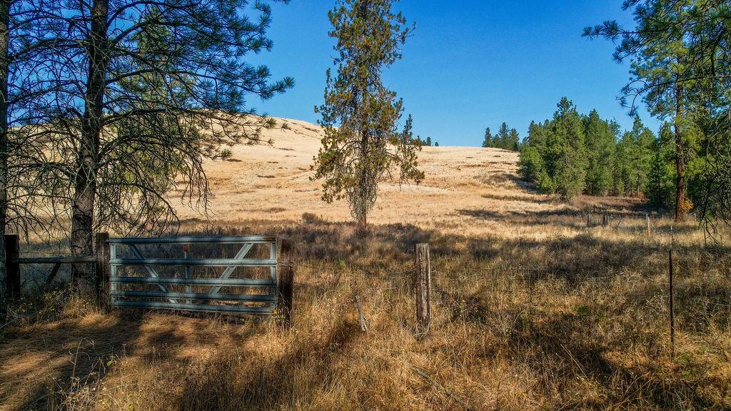 1474 Evans Cutoff Road Evans, WA 99126 - Photo 28 of 36 Gallery Image 28