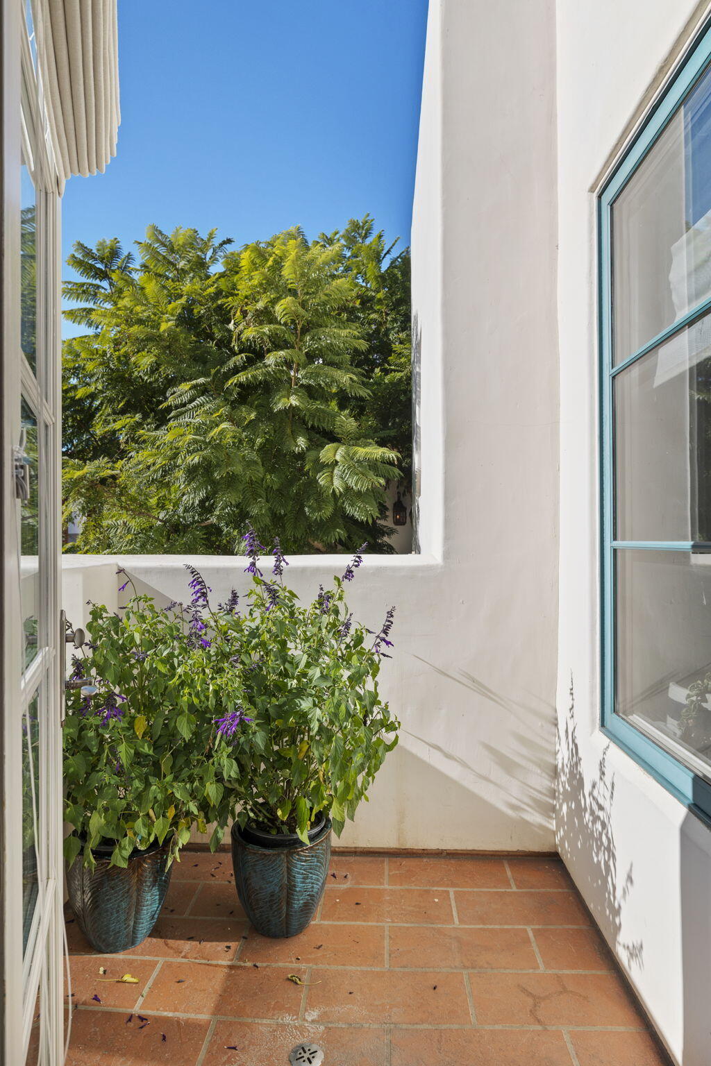 4384 Modoc Road Santa Barbara, CA 93110 - Photo 49 of 75 49-web-or-mls-UpmarketMedia_4384Mod-153