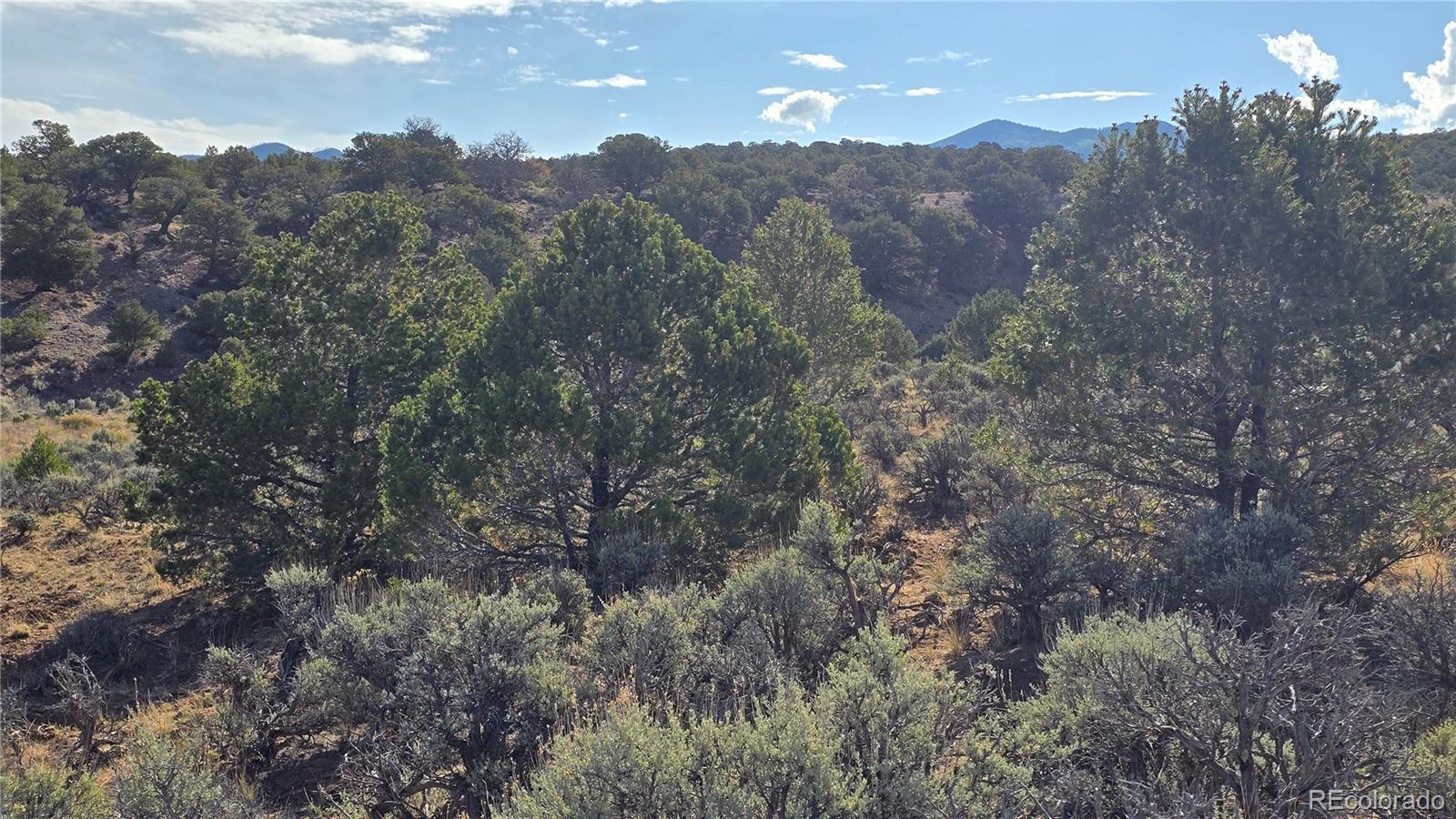 Lot 7340 Sweaney Road Fort Garland, CO 81133 - Photo 21 of 31 Gallery Image 21