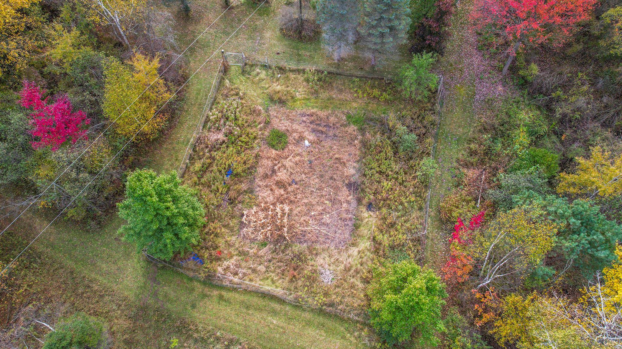 1167 West Sun Oil Road Gladwin, MI 48624 - Photo 49 of 75