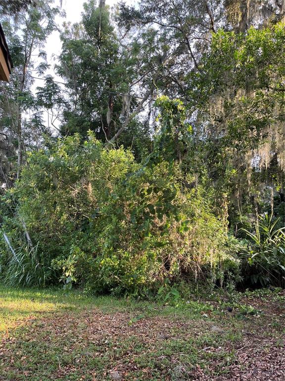 2708 Dixie Road Lakeland, FL 33801 - Photo 30 of 31 a view of a yard with a tree