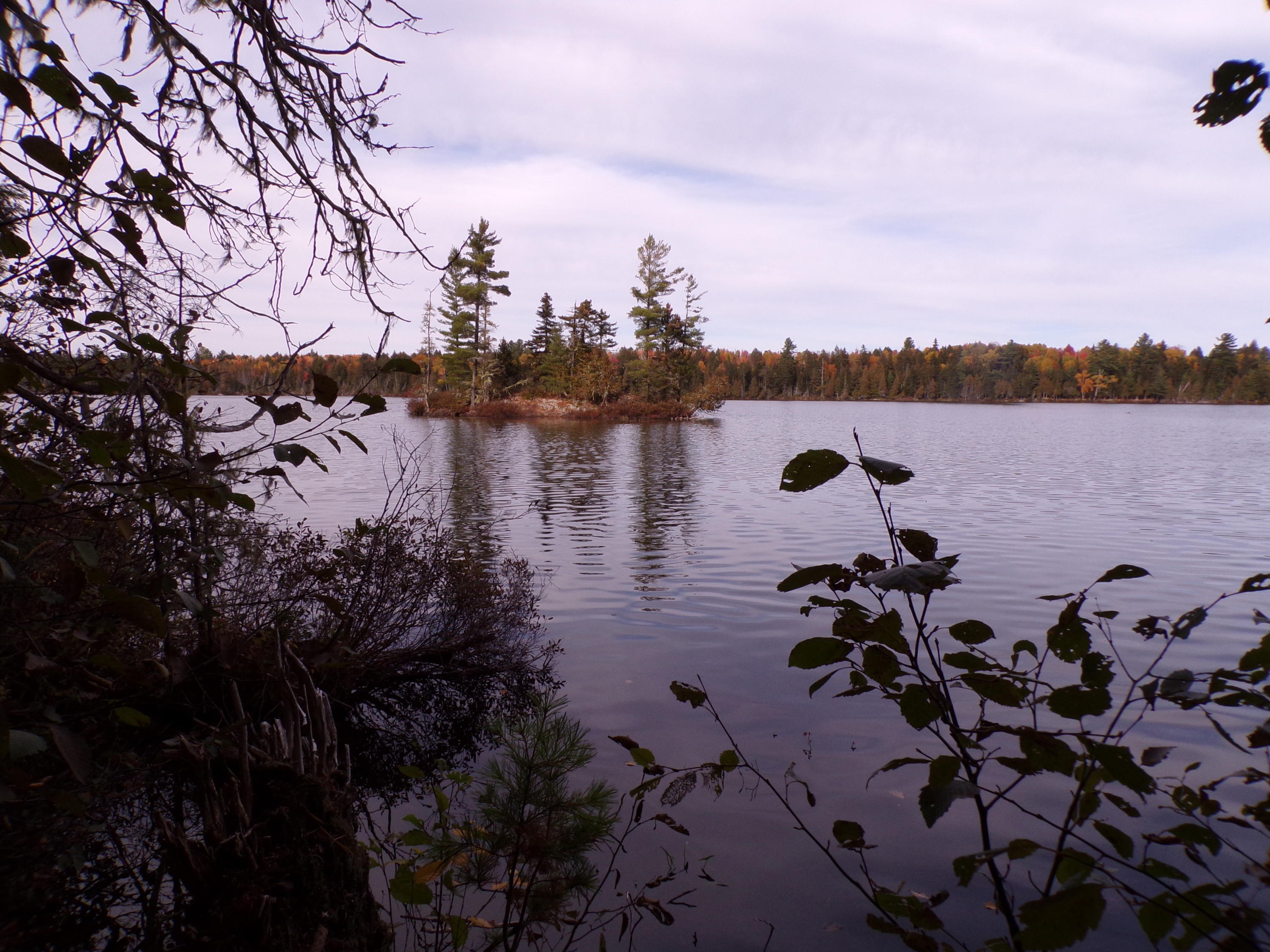 999 Sugar Berth Road Oxbow, ME 04764 - Photo 26 of 59 102_0359