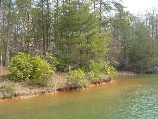 Lot 2 Jocassee Point Road Salem, SC 29676 - Photo 2 of 7 Gallery Image 2
