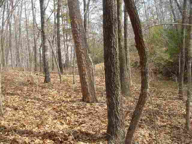 Lot 2 Jocassee Point Road Salem, SC 29676 - Photo 4 of 7 Gallery Image 4