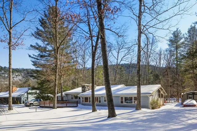 a backyard of a house with large trees and outdoor seating