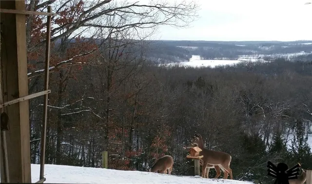 $532,000 | 29523 Vixen Avenue, Warsaw, MO 65355