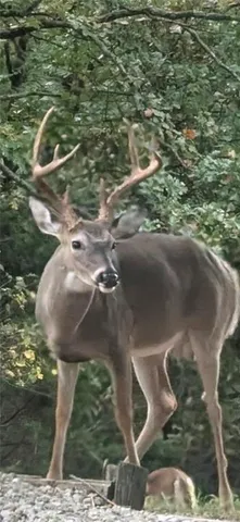 $532,000 | 29523 Vixen Avenue, Warsaw, MO 65355