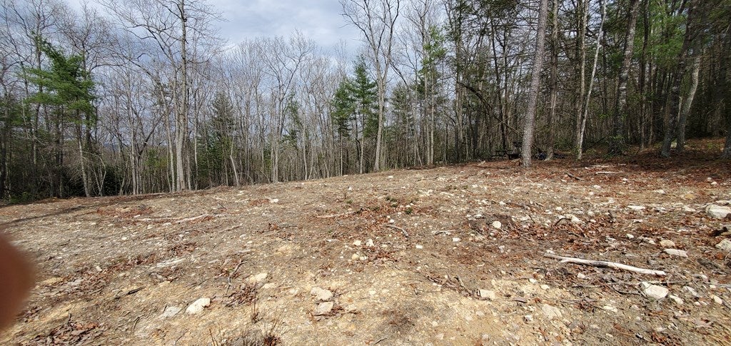 24.5-ac Alleghany Road Max Meadows, VA 24360 - Photo 7 of 38 Gallery Image 7