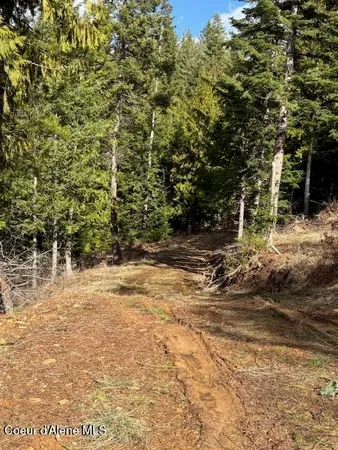 $140,000 | E Fork, Pinehurst, ID 83850