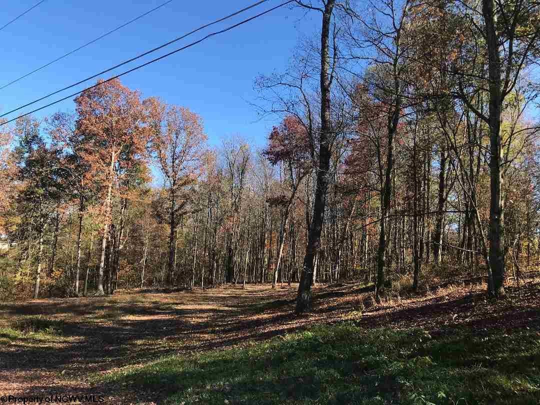 Lot 32 Emerald Reedsville, WV 26547 - Photo 9 of 9 Gallery Image 9